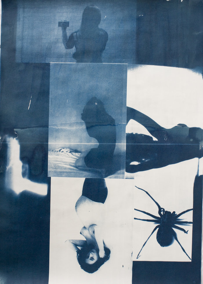 Ruth Erdt, Cyanotypes
